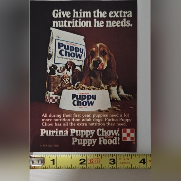1980 Purina Puppy Chow Dog Food Ad - Don't Treat Your Puppy Like A Dog - Picture 4 of 8